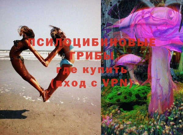 кокс Касимов