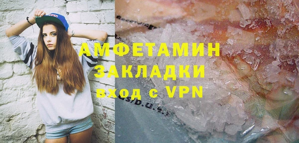 индика Каменка