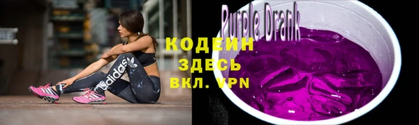 индика Каменка
