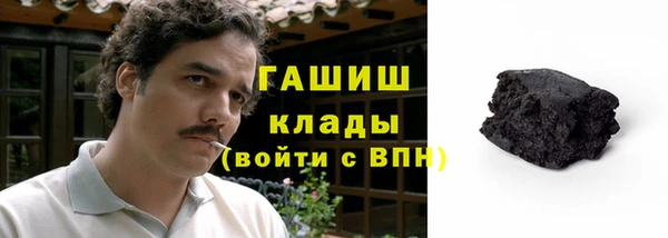 индика Каменка