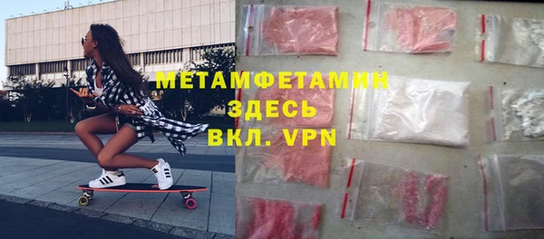 индика Каменка