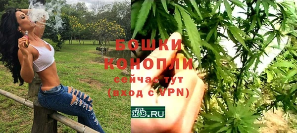 кокс Касимов