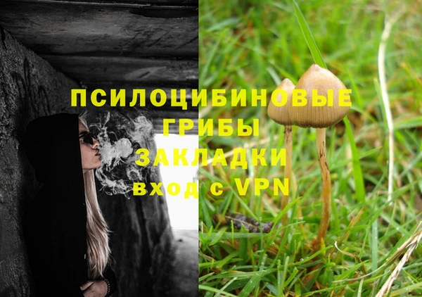 индика Каменка