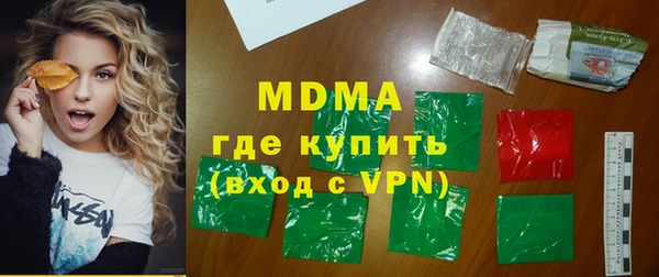 индика Каменка